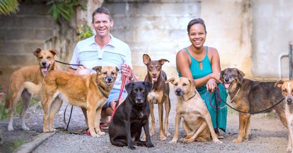Mathias et Sheila Rendors ont recueilli six chiens L’un d’entre eux (au centre) est handicapé.